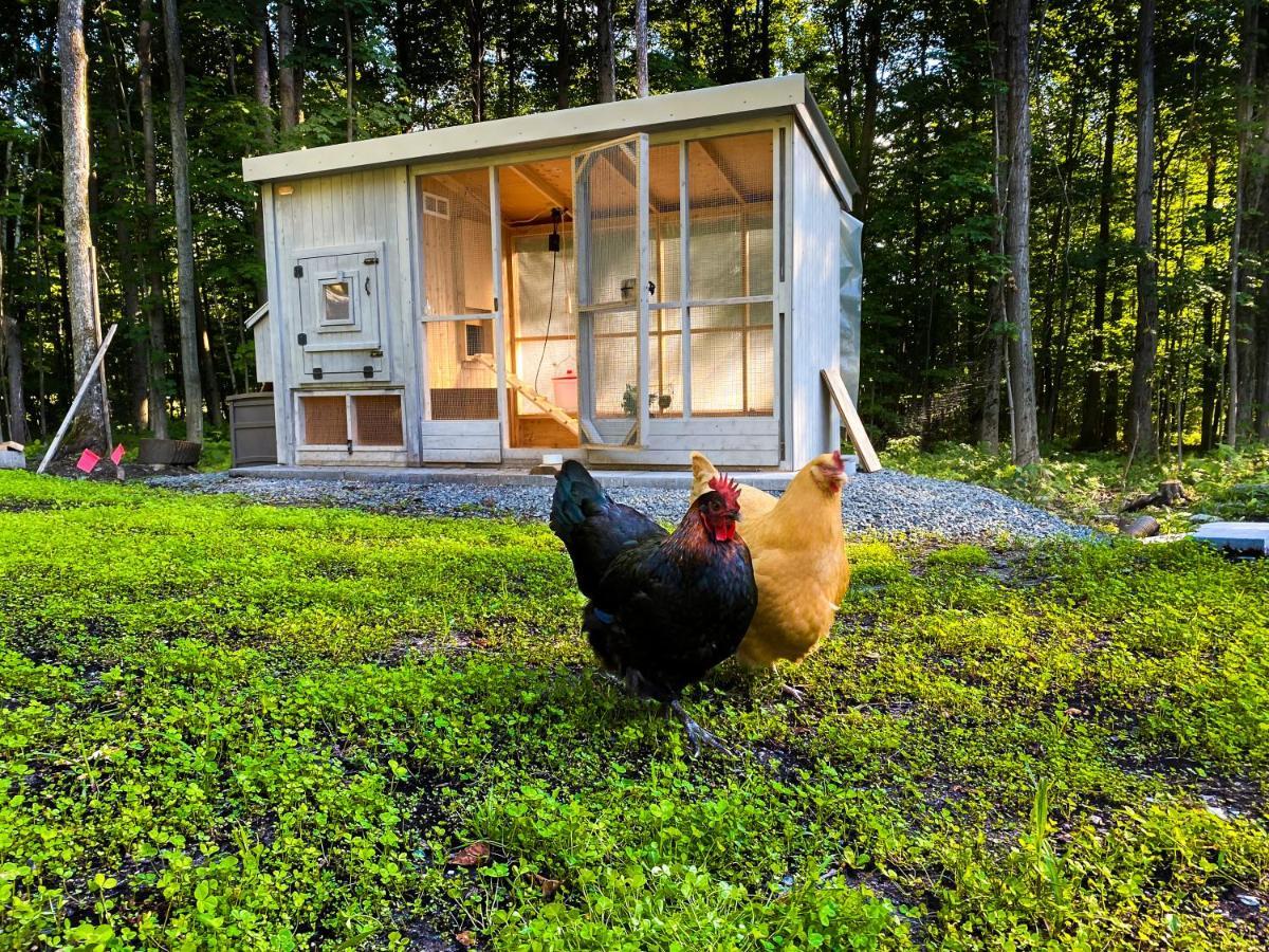 Le Camp Cache Shefford Bed & Breakfast Exterior foto